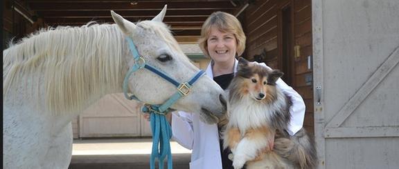 Eye Clinic For Animals