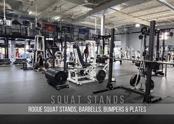 Rogue Squat Stands