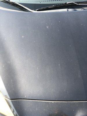 Hood of my car after getting the Deluxe. Looks worse than before the wash.