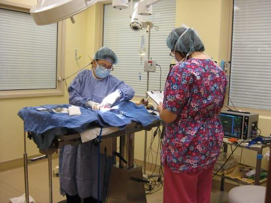 State-of-the-Art Surgical Facilities