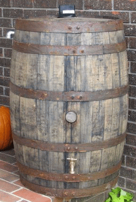 Authentic Kentucky Whiskey Barrels converted into Rain Collection Barrels