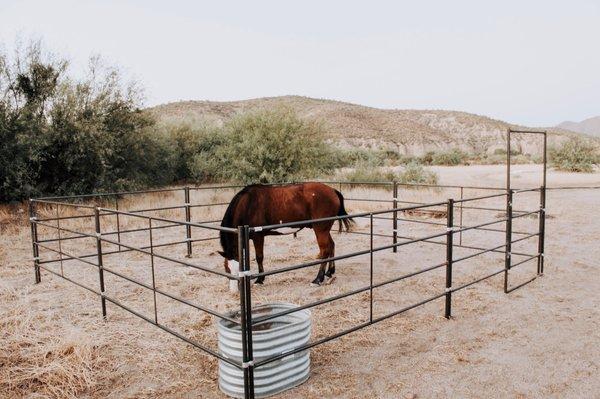 20x20 Horse Stall