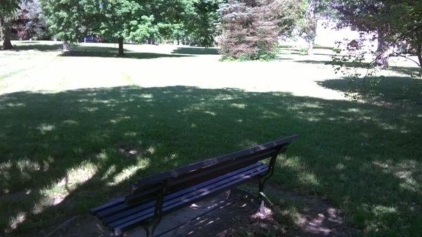 open greenspace with mature trees around the perimeter