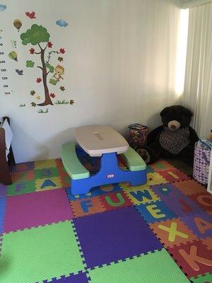 Beautiful Indoor Playroom