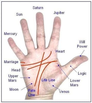 Palm readings 1 Palm $20 2 palms $40