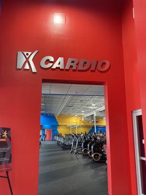 New Cardio area - very nice