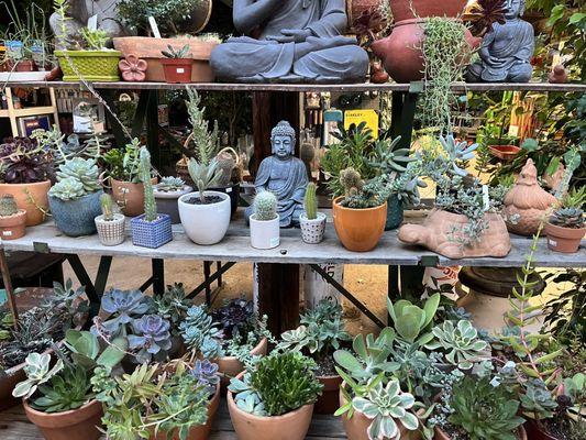 Plants and sculptures for sale