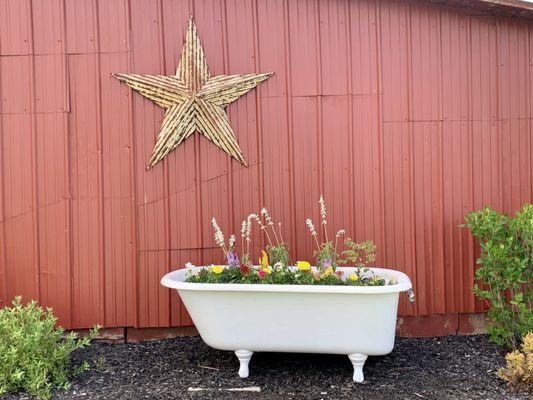 A new use for an old bath tub!