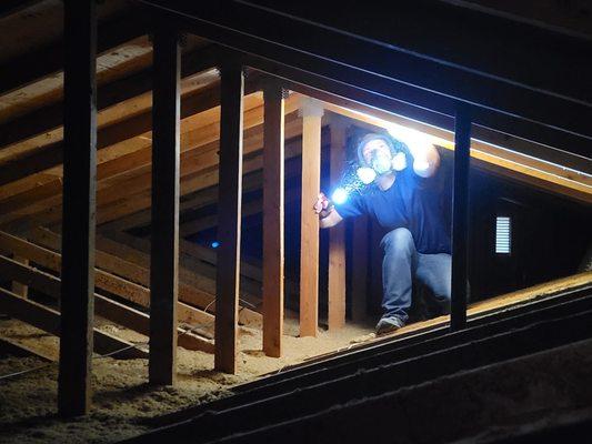 Attic inspection.