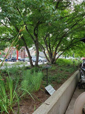 Patio on the Monon