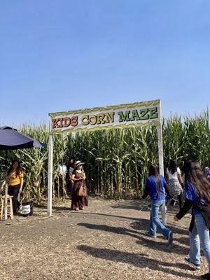 Kids Corn Maze