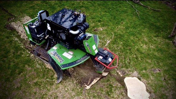 Large Stump Grinding Services