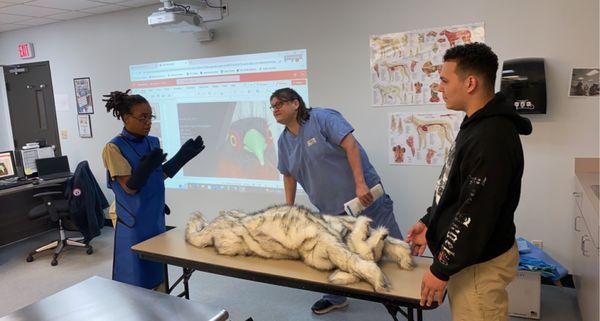 Veterinary Assisting students lab work.