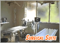 Surgical Suite