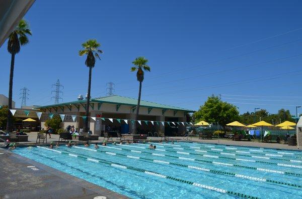 Broadstone Lap Pool