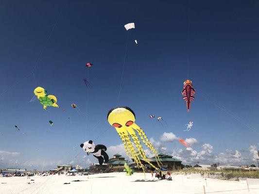 Kitty Hawk Kites