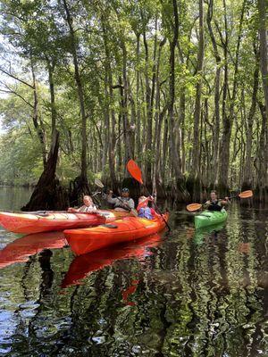 Late morning at Ebenezer Creek.