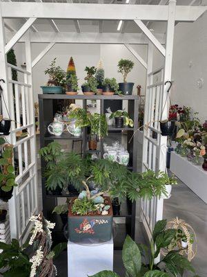 A great selection of bonsai, plant gifts, and more.