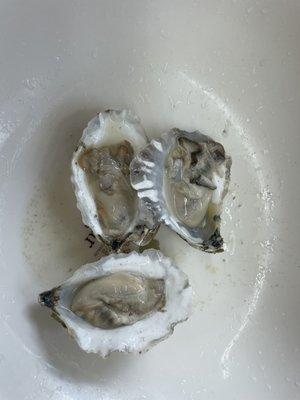 Oysters  w/ lemon