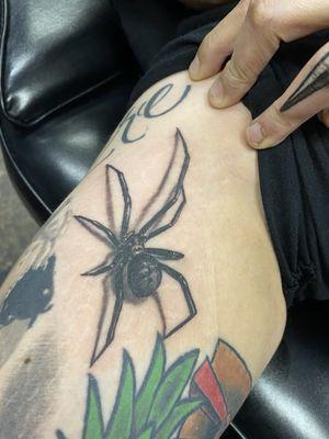 Black Widow Spider Tattoo