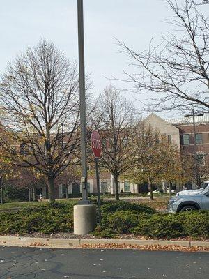 A breezy Fall day with empty trees of leaves in the parking lot at the Shelby Medical Mall.  10/29/2024