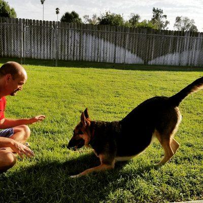 Zooey loves to play now that she feels secure in her new home.