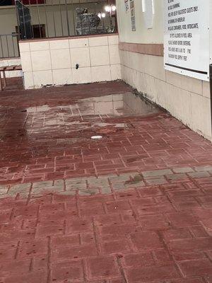 Moldy tiles in the pool area