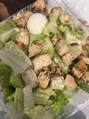 Grilled Chicken Caesar