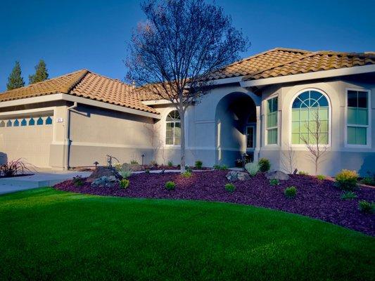 More of our new artificial turf and planter area.  Mike installed almost 100 new plants in our front, side, and back yards.