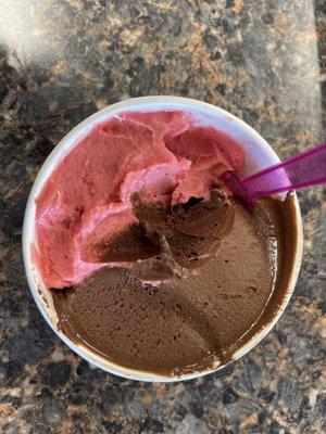 Orien's gelato packed half dark chocolate and half raspberry. Get it - you will not regret it.