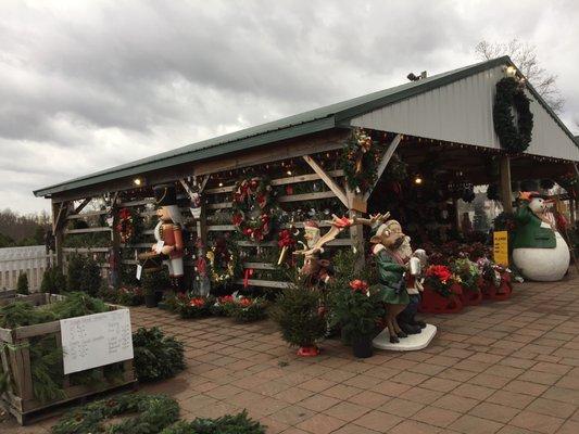 Great shops while you wait for your tree to be wrapped in netting.