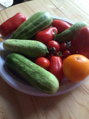 What a nice place to stay! So friendly.  When we checked in we were offered these fresh harvested delights for free!