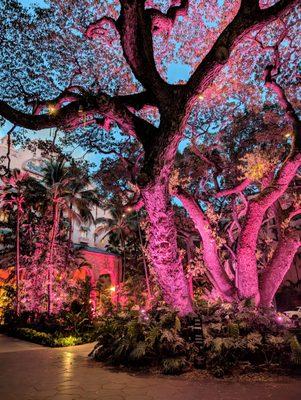 Lovelt Grounds At The Royal Hawaiian