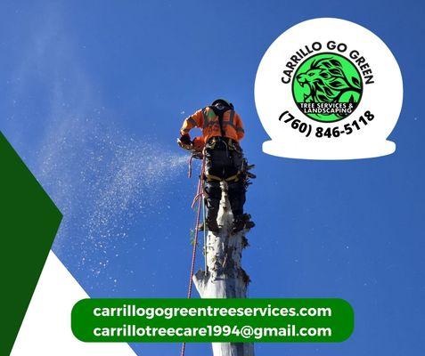 Carrillo Go Green Tree Services