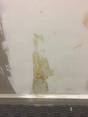 Water damage? Paint over it!