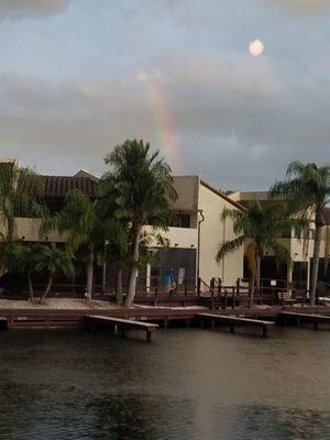 The view from our table (Lake Tarpon)