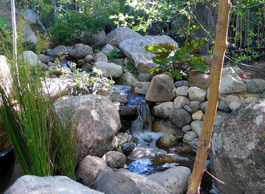 Back water feature at the nursery.