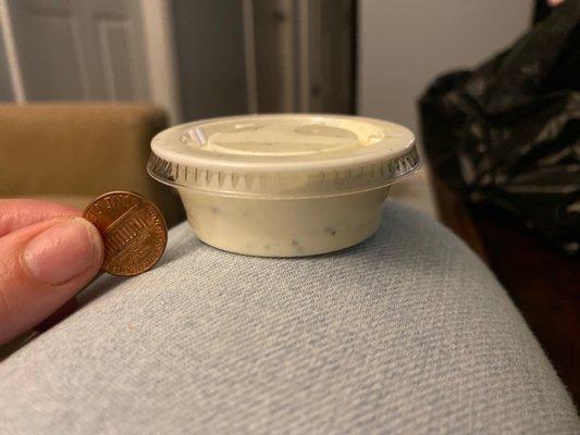 Tiniest ranch I've ever seen.