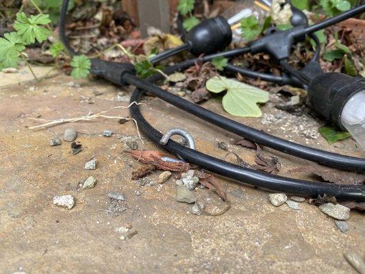 Backyard string light mounts torn out of the wood by best care, how hard would it be to simply un-hang the lights?