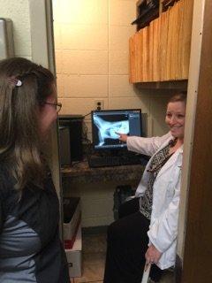 Dr. Evans and Sara discuss radiographs