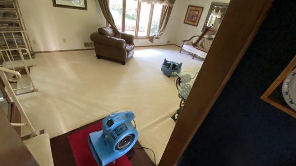 Drying the carpet