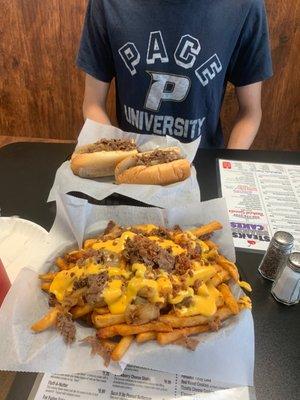 Steak fries