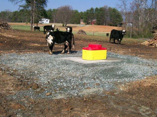 Cattle Waterer Installation