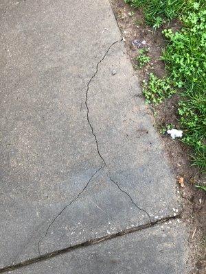 Broken sidewalks and curbs all over.