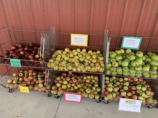 Apples for sale