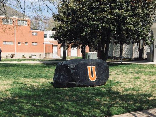 Every school has a rock!