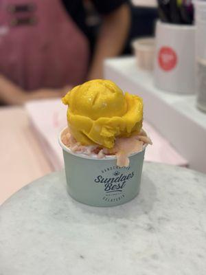 8.3.24 Mango and blueberry sorbet