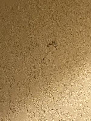 Dirt/fungus on wall by bed.