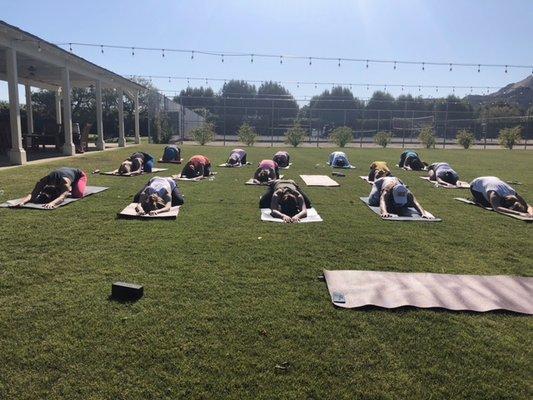 We love private yoga sessions in our Palm Springs area!