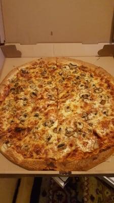 Mushroom pizza